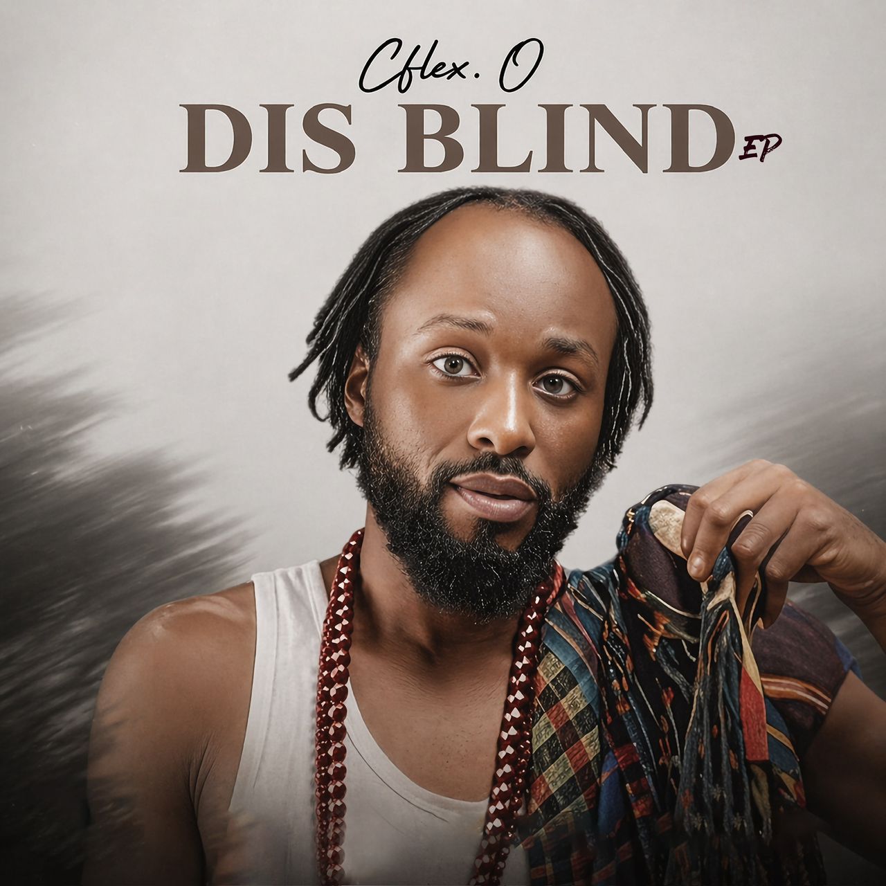 Dis Blind